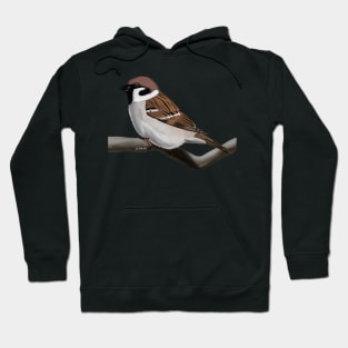 Sparrow Bird Illustration Hoodie